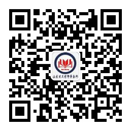 640 (1).webp (2).png